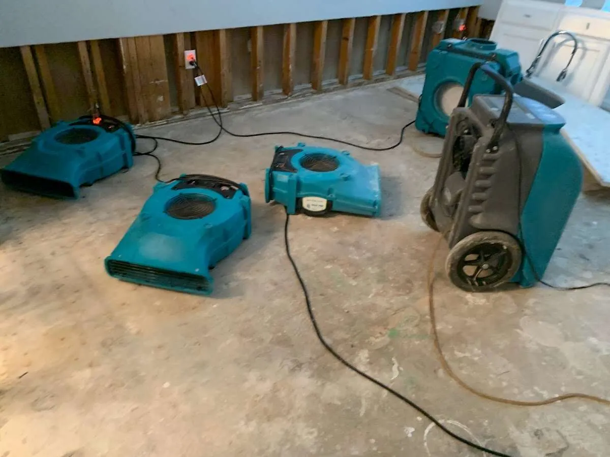 Water Damage Restoration services in Lynden, WA